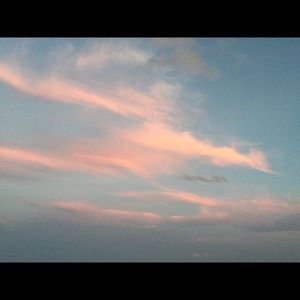 Meet your Posher, Darlene